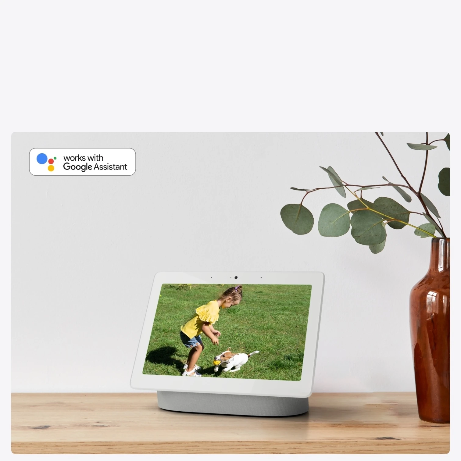 Wi-Fi камера с батерия REOLINK Argus B320 Argus Eco — 9